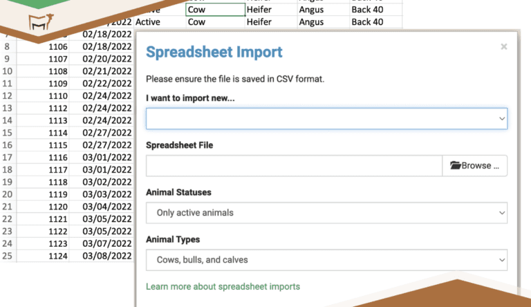 Spreadsheet Import Tool