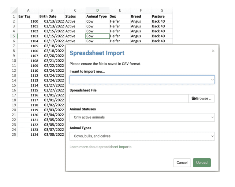 Spreadsheet Import Tool