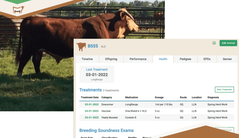 Breeding Soundness Exams