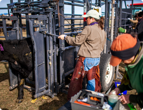 Group-based Weaning