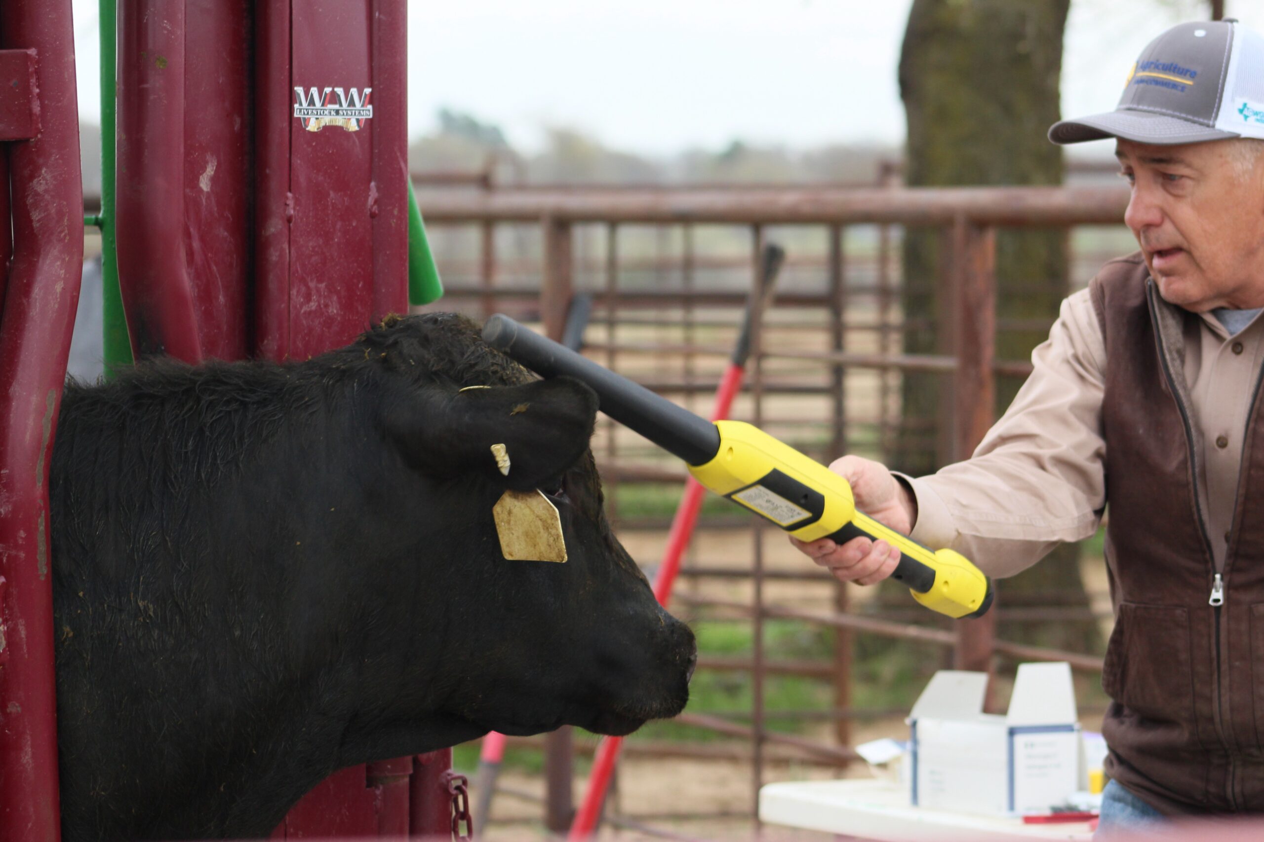 Cattle Tags and RFID Reader Integrations - CattleMax