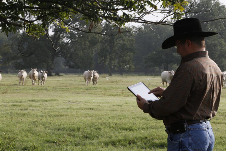 Sharing a copy of your CattleMax records with your customers