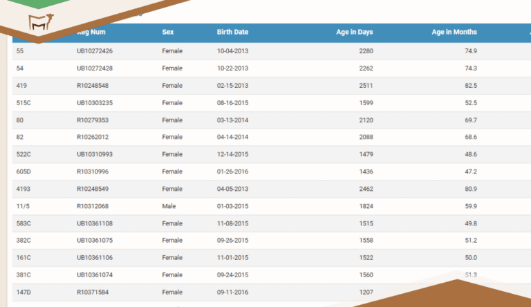 View Historical Inventories with the Inventory Time Machine
