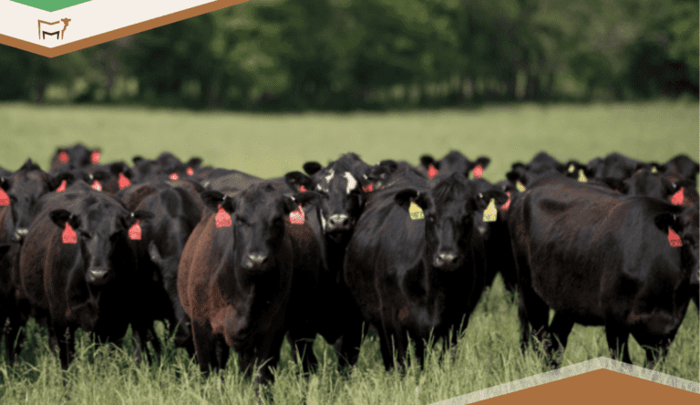 Product Update Recap: New Features and Improvements​