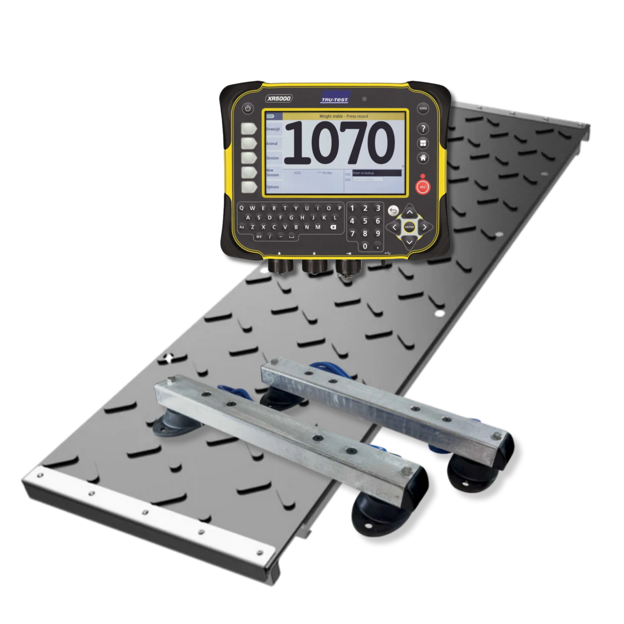 Tru-Test scale system