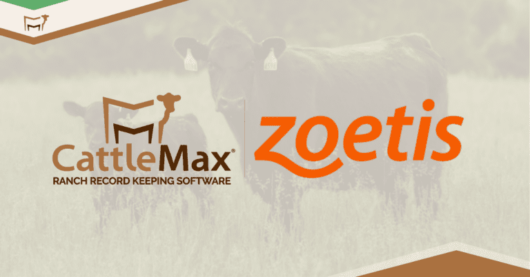 New Industry Connection: Zoetis Genetic Insights in CattleMax