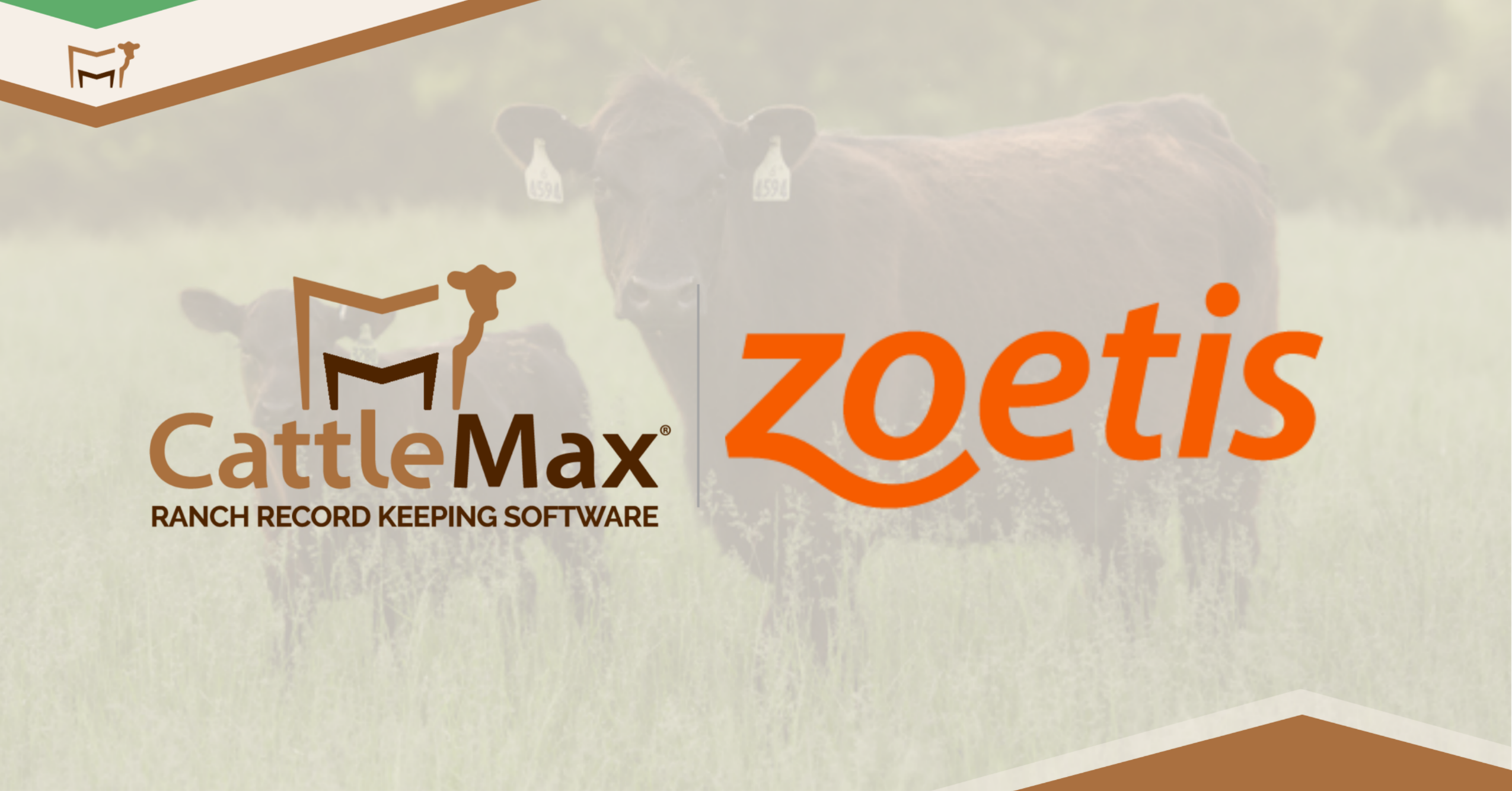 Industry Connection: Zoetis Genetic Insights in CattleMax - CattleMax