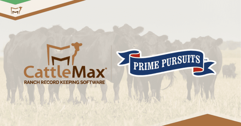 Industry Connection: Prime Pursuits in CattleMax