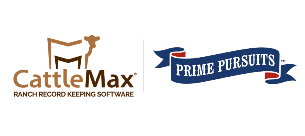 Prime Pursuits x CattleMax Connection - CattleMax