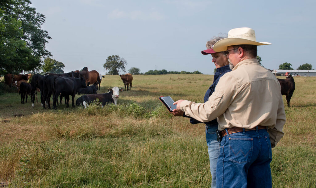 CattleMax provides everything in one place for your cattle record keeping​