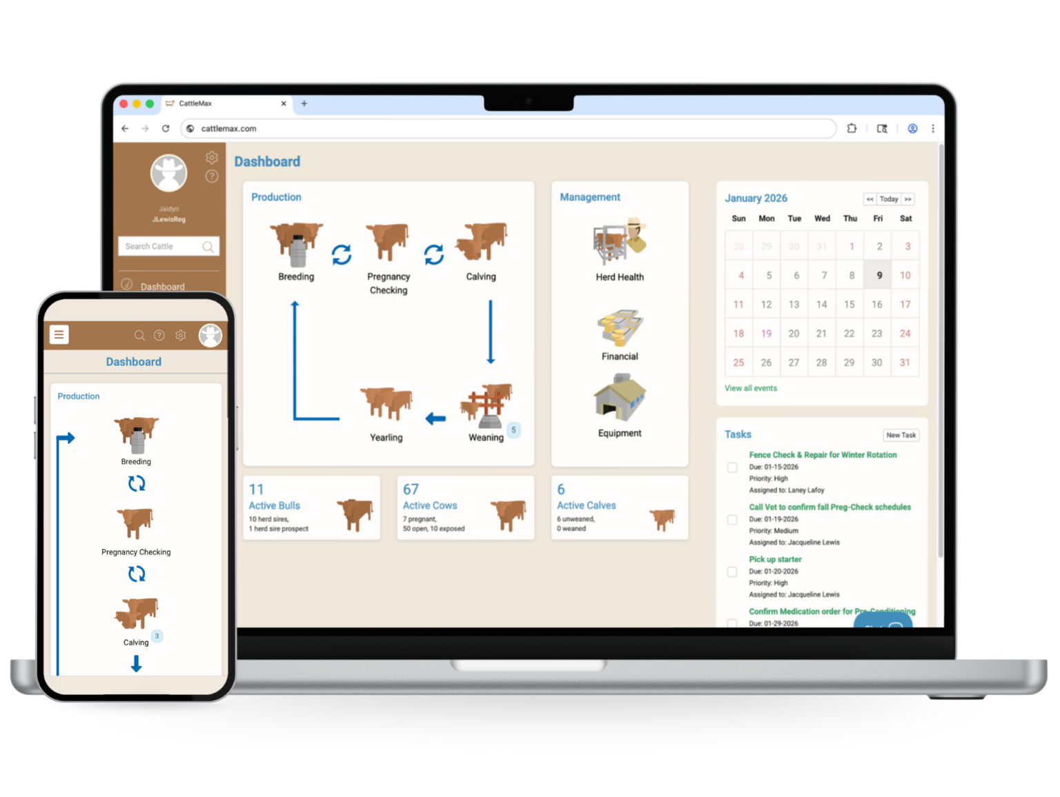 Partners - CattleMax