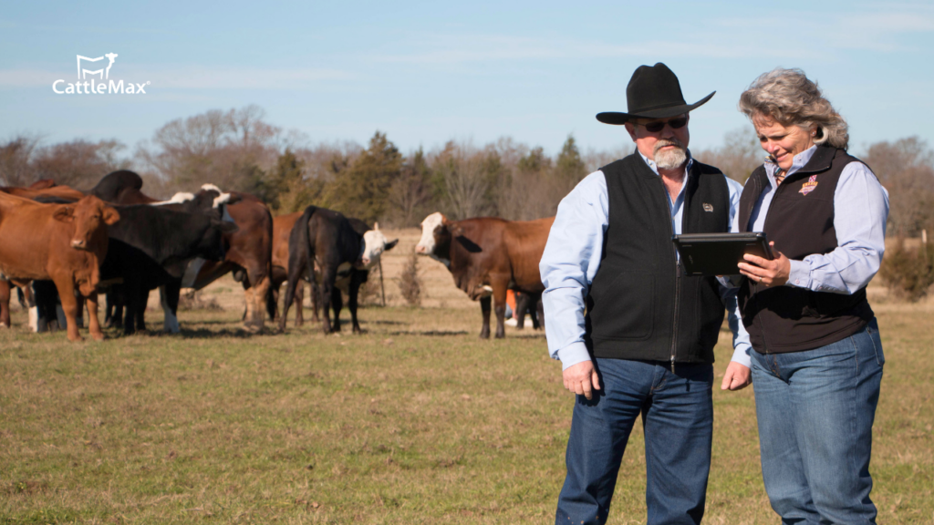 CattleMax Demo