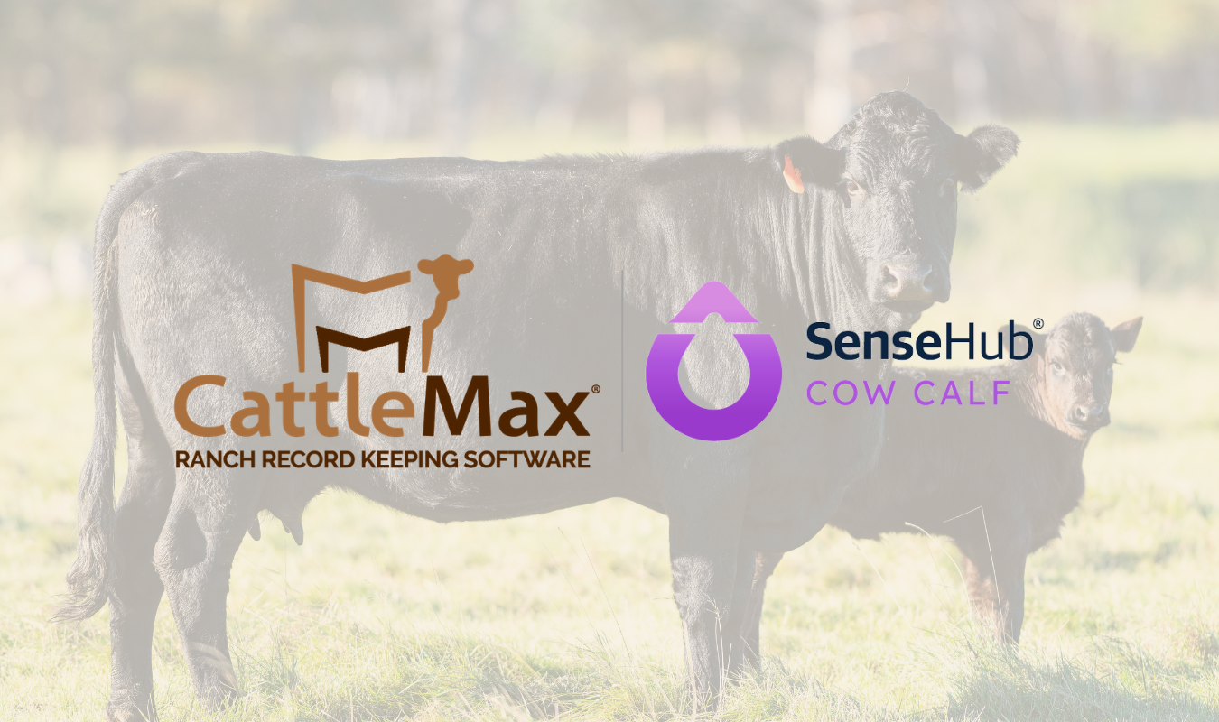 SenseHub - CattleMax