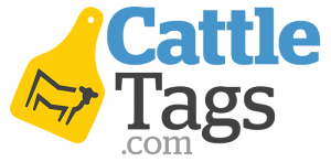 214791940_4422741531071619_6250243251370270128_n (1)