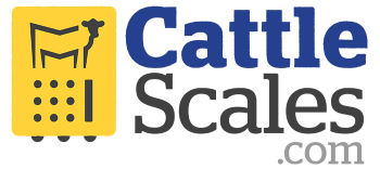 215257097_4024389977646394_6445082440370774151_n (1)